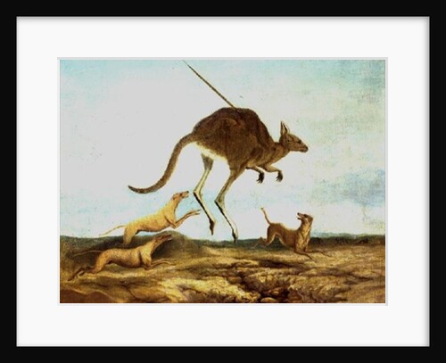 Kangaroo Hunting by Anonymous Anonymous