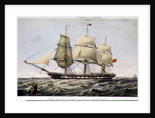 The 'Windsor Castle', 1250 tons by Anonymous Anonymous