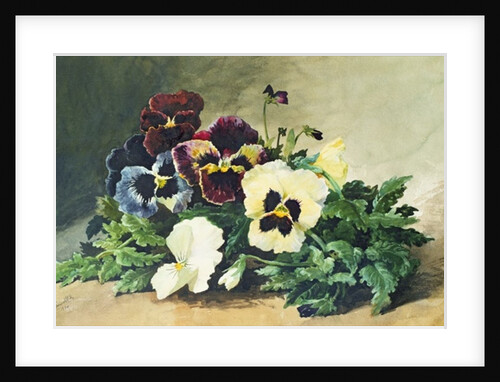 Winter Pansies, 1884 by Louis Charles Bombled
