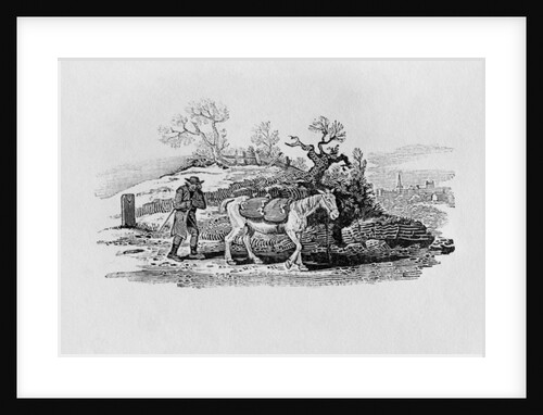 Geese carried to market from 'History of British Birds and Quadrupeds' by Thomas Bewick