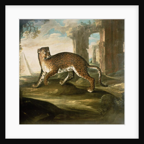 A Jaguar by Andrea the Elder Scacciati