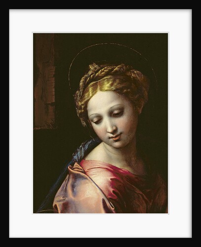 The Madonna, c.1518 by Raphael