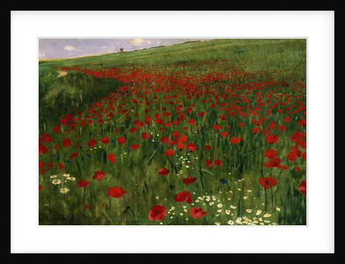 The Poppy Field, 1896 by Pal Szinyei Merse