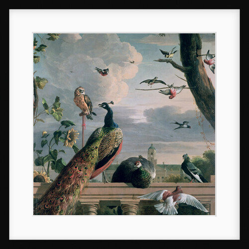 Palace of Amsterdam with Exotic Birds by Melchior de Hondecoeter