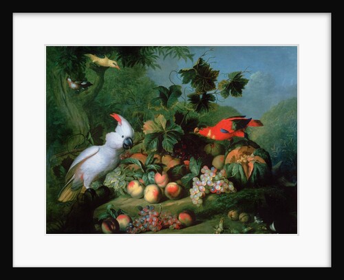 Fruit and Birds by Jakob Bogdani or Bogdany