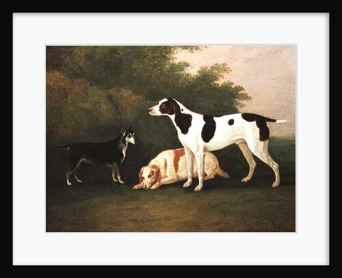 Three Dogs in a Landscape by John Boultbee