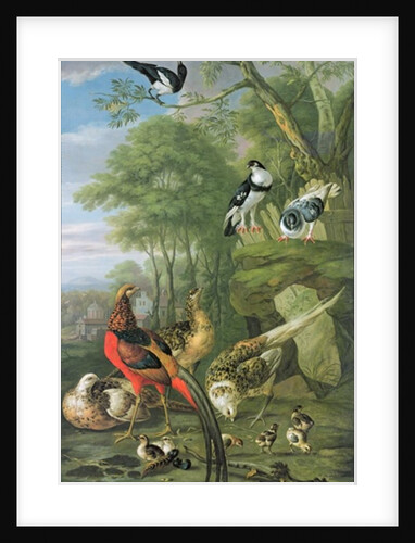 Cock pheasant, hen pheasant and chicks and other birds in a classical landscape by Pieter Casteels
