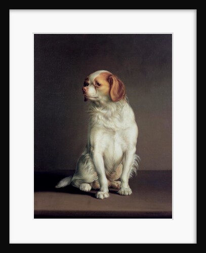 Portrait of a King Charles Spaniel by Louis Leopold Boilly