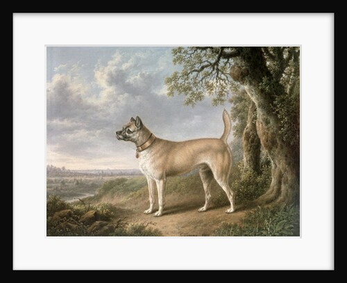 A Terrier on a path in a wooded landscape by Charles Towne