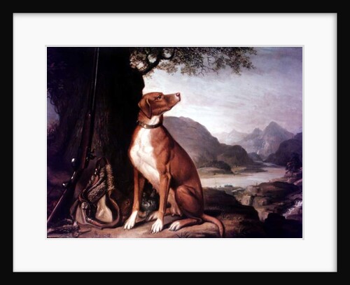 G. M. Johnston's favourite gun dog in a landscape by J. Francis Sartorius
