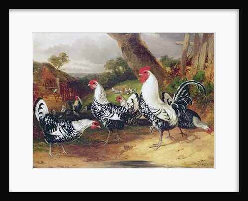 Cockerels in a Landscape by William Joseph Shayer