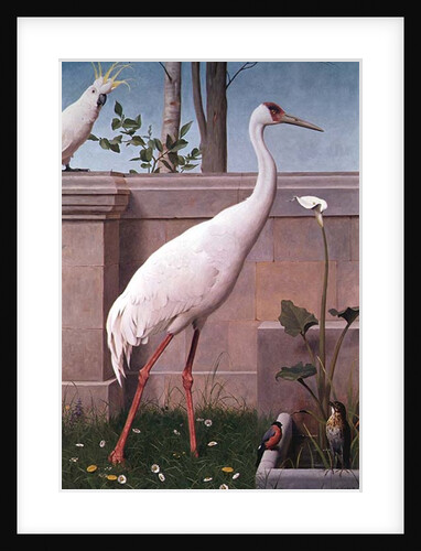 Indian Crane, Cockatoo, Bullfinch and Thrush by Henry Stacy Marks