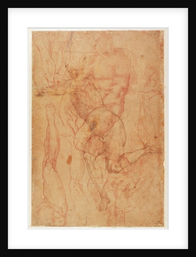 Figure Study by Michelangelo Buonarroti