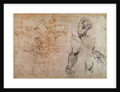 Scheme for the Sistine Chapel Ceiling, c.1508 by Michelangelo Buonarroti