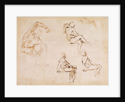 Figure Studies for a Man by Michelangelo Buonarroti