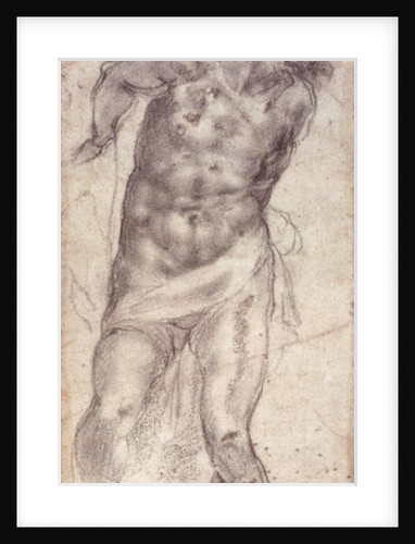 Figure Study by Michelangelo Buonarroti