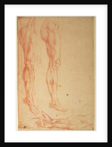 Studies of Legs and Arms by Michelangelo Buonarroti