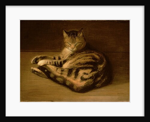 Recumbent Cat, 1898 by Theophile Alexandre Steinlen