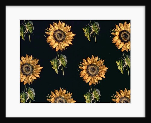 Velours au Sabre: silk decoration of Sunflowers by Maison Ogier and Duplan, Lyon 1894 by French School