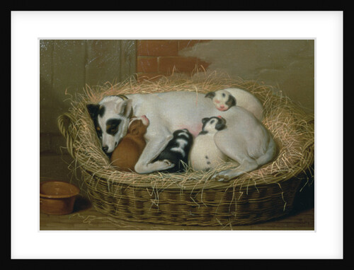 Bitch with her Puppies in a Wicker Basket by Samuel de Wilde
