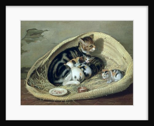 Cat with Her Kittens in a Basket by Samuel de Wilde