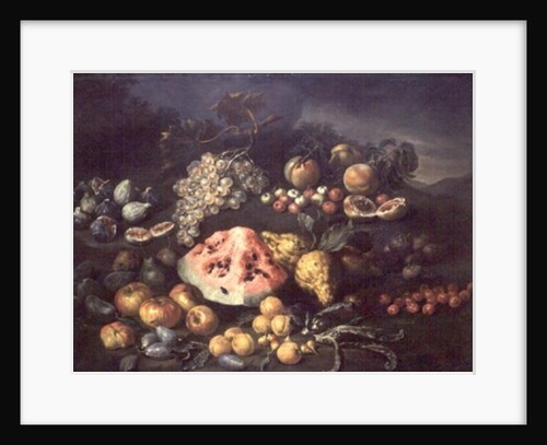 Still Life by Bartolomeo Bimbi