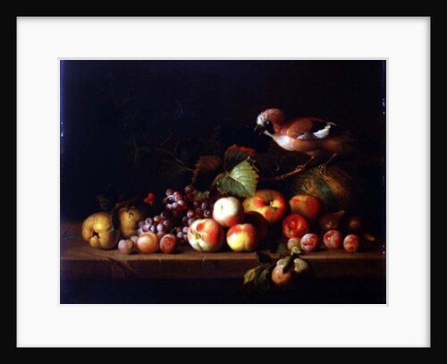 Still Life with Fruit, a Jay and a Parrot by Jakob Bogdani or Bogdany