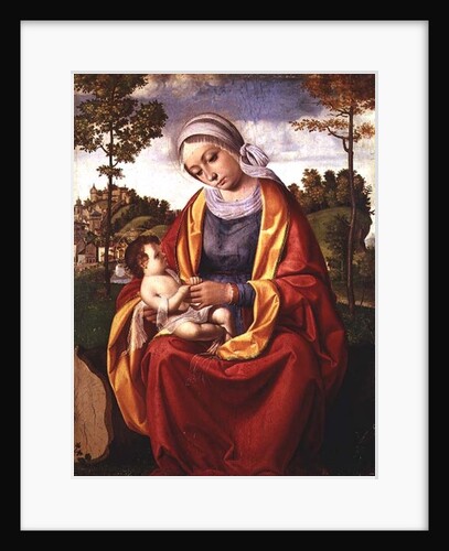 The Virgin and Child by Andrea Previtali