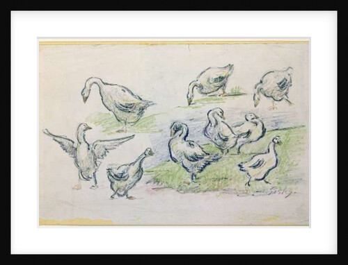 Ducks by Alfred Sisley