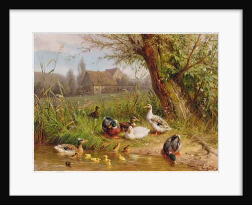Mallard Ducks with their Ducklings by Carl Jutz