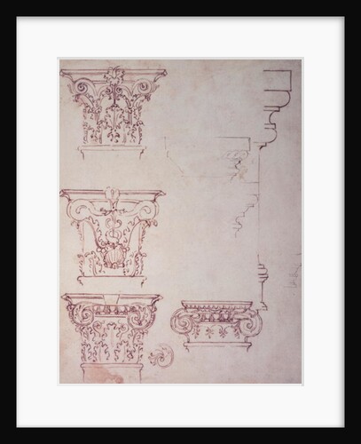 Studies for a Capital by Michelangelo Buonarroti