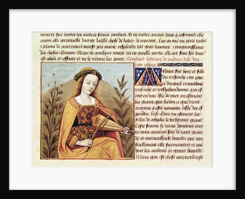 Fr 599 f.19 Woman playing a viol, from `Des Cleres et Nobles Femmes' by School French