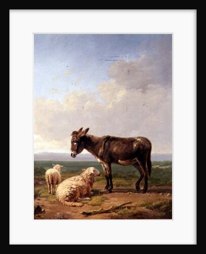 Ass and Sheep, 1849 by Eugene Joseph Verboeckhoven