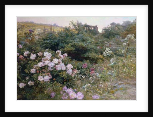 In Full Bloom by Henry Arthur Bonnefoy