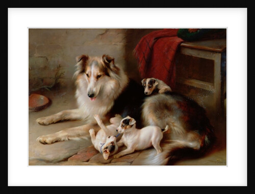 A Collie with Fox Terrier Puppies, 1913 by Walter Hunt