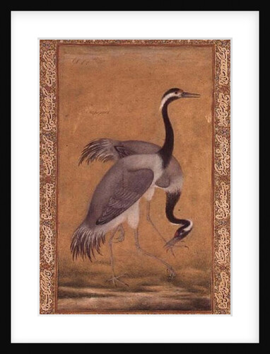 Cranes by Mansur, Jahangir Period, Mughal, 1775 by Indian School