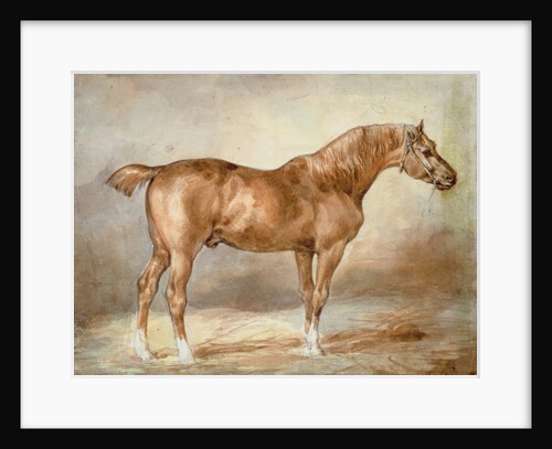 Horse in a Stable by Theodore Gericault