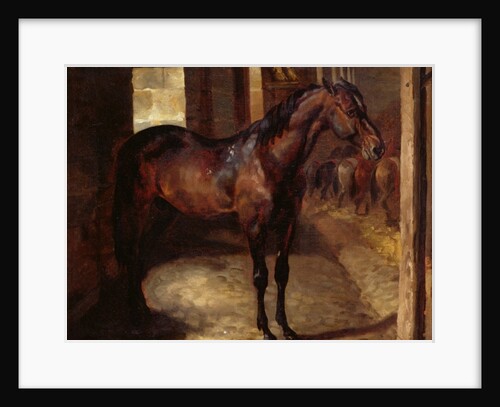 Anglo-Arabian Stallion in the Imperial Stables at Versailles by Theodore Gericault