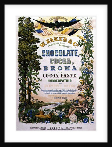 American Advertising Poster for Chocolate and other Cocoa products, 19th century by Anonymous