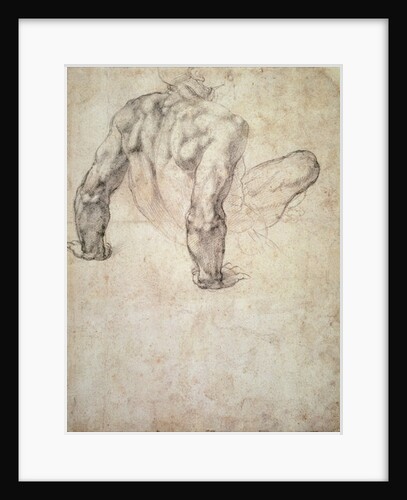 W.63r Study of a male nude, leaning back on his hands by Michelangelo Buonarroti