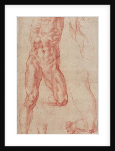 W.13r Study of a male nude, stretching upwards by Michelangelo Buonarroti
