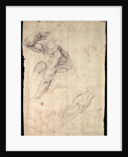 Male figure study by Michelangelo Buonarroti