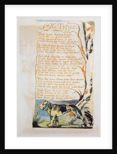 The Tyger by William Blake