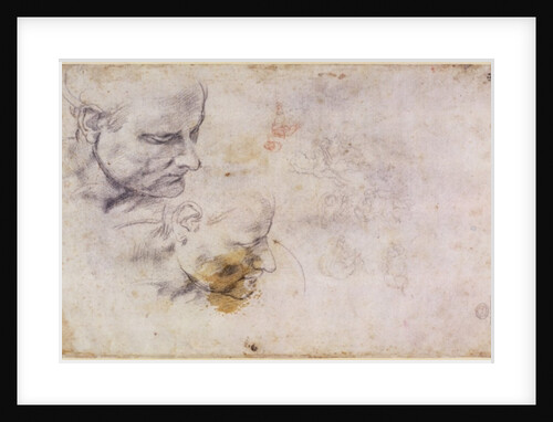 W.60 Sketch of a male head, in two positions by Michelangelo Buonarroti