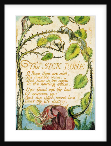 The Sick Rose by William Blake