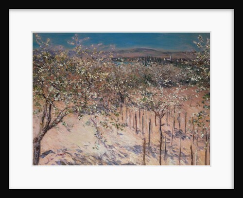 Orchard with Flowering Apple Trees, Colombes by Gustave Caillebotte