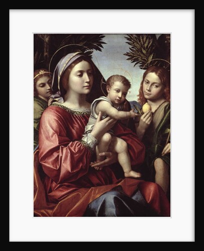 The Virgin and Child, St. John the Baptist and an Angel, c.1514-18 by Paolo Morando