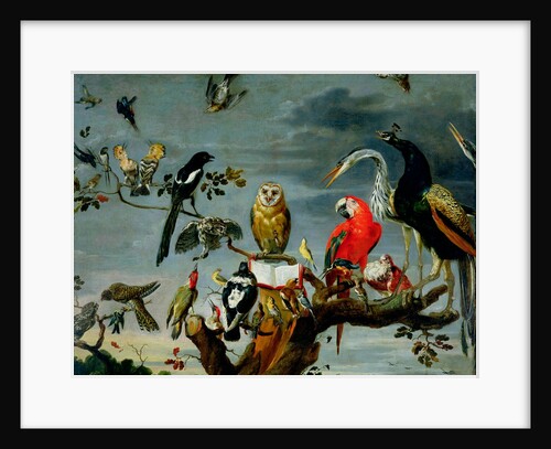 Concert of Birds by Frans Snyders or Snijders