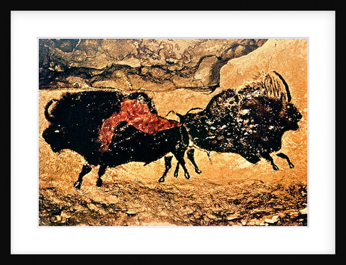 Cave painting of bison, Caves of Lascaux, Dordogne, c.17000 BC by Prehistoric Prehistoric