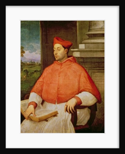 Portrait of Cardinal A. Pallavicini, 1512 by Sebastiano del Piombo